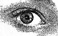 oog