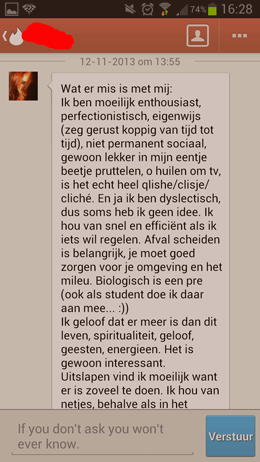 goede profieltekst