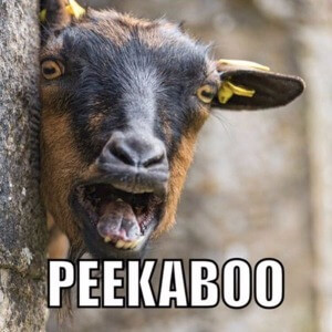 37 Geweldige Eerste Date Ideeën Waar Iedereen Van Houdt