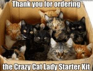 crazy cat lady kat