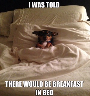 Ontbijtje op bed
